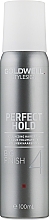 Strong Hold Volume Spray - Goldwell Big Finish Hair Spray — photo N1
