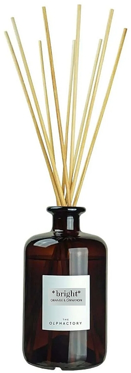 Fragrance Diffuser - Ambientair The Olphactory Mikado Bright Orange & Cinnamon Diffuser — photo N1