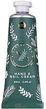 Fragrances, Perfumes, Cosmetics Hand & Nail Cream, green - Accentra Winter Spa Fresh Pine & Winter Berries Hand & Nail Cream