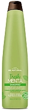 Shampoo for Oily Hair - Be Natural Fresh Menta Shampoo — photo N1