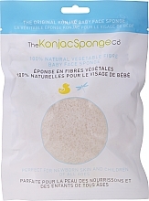 Fragrances, Perfumes, Cosmetics Sponge - The Konjac Sponge Company Baby Konjac Face