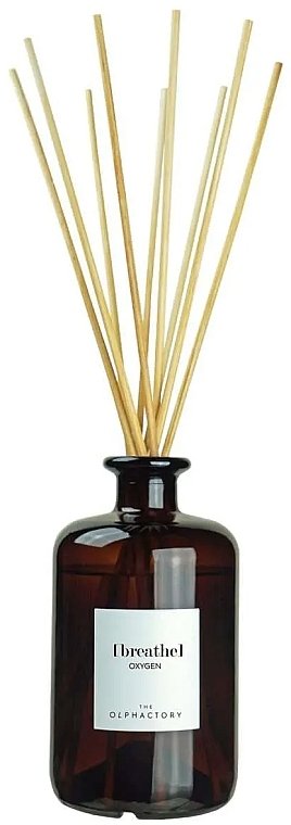 Fragrance Diffuser - Ambientair The Olphactory Mikado Breathe Oxygen Diffuser — photo N1