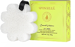 Fragrances, Perfumes, Cosmetics Reusable Foaming Bath Sponge - Spongelle Coconut Verbena Boxed Flower Body Wash Infused Buffer