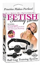 Fragrances, Perfumes, Cosmetics Ball Gag Set - PipeDream Fetish Fantasy Series Ball Gag Training System