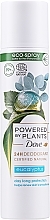 Fragrances, Perfumes, Cosmetics Deodorant - Dove Powered by Plants Eucalyptus Deodorant