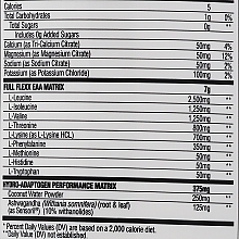 Dietary Supplement "Fruit Punch" - GAT Sport Flexx EAAs + Hydration Fruit Punch — photo N4