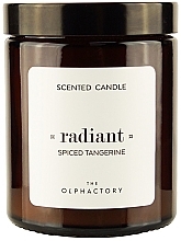 Fragrances, Perfumes, Cosmetics Scented Candle in Jar - Ambientair The Olphactory Radiant Spiced Tangerine Scented Candle