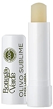 Olive Lip Balm Stick - Bottega Verde Olivo Sublime Lip Balm Stick  — photo N1