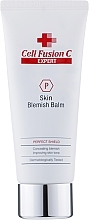 Extra Sensitive Skin Balm - Cell Fusion C Expert Skin Blemish Balm — photo N1