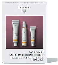 Fragrances, Perfumes, Cosmetics Face Care Set - Dr. Hauschka Dry Skin (cr/10ml + tonic/10ml + cr/5ml)