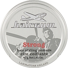 GIFT! Hair Styling Pomade - Hairgum Strong Hair Styling Pomade — photo N1