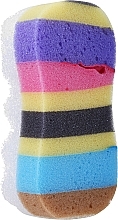 Fragrances, Perfumes, Cosmetics Shower Sponge 6047, multicolored 28 - Donegal