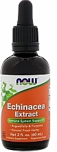 Echinacea Extract - Now Foods Echinacea — photo N1