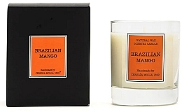 Cereria Molla Brazilian Mango - Scented Candle — photo N1