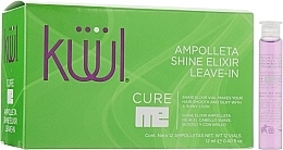 Smoothness & Silkiness Elixir Ampoules for Damaged Hair - Kuul Cure Me Shine Elixir Leave-in — photo N3