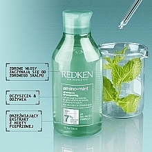 Refreshing & Moisturizing Oil-Control Shampoo - Redken Amino Mint Shampoo — photo N2