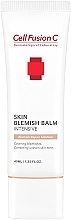 BB Cream - Cell Fusion C Skin Blemish Balm Intensive (Tinted Moisturizer BB Cream) — photo N1