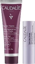 Set - Caudalie The Des Vignes Lip & Hand Duo (h/cr/30ml + lip/cond/4.5g) — photo N2