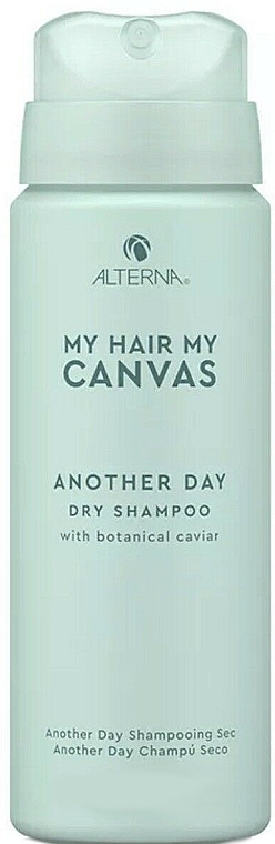 Dry Shampoo - Alterna My Hair My Canvas Another Day Dry Shampoo — photo N2
