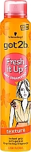 Hair Dry Shampoo - Got2b Dry Fresh It Up Texture Shampoo — photo N1