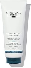 Fragrances, Perfumes, Cosmetics Detoxifying Conditioner - Christophe Robin Detangling Gelee With Sea Minerals (tube)