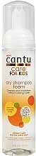 Fragrances, Perfumes, Cosmetics Kids Dry Shampoo-Foam - Cantu Care For Kids Dry Shampoo Foam