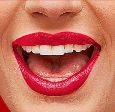 Lipstick - Bourjois Rouge Fabuleux Lipstick — photo N14