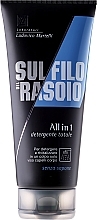 Fragrances, Perfumes, Cosmetics Hair and Body Shampoo - Proraso Proraso Sul Filo Del Rasoio All-in-1 Hair And Body