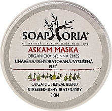 Fragrances, Perfumes, Cosmetics Cleansing Face Mask - Soaphoria Organic Herbal Blend Tired, Dehydrated and Dried Skin