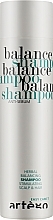 Fragrances, Perfumes, Cosmetics Oily Hair Shampoo - Artego Easy Care T Balance Shampoo