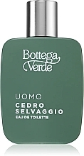 Bottega Verde Cedro Selvaggio - Eau de Toilette — photo N2