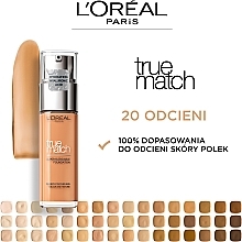 Foundation - L'Oreal Paris New True Match Super Blendable Foundation — photo N3