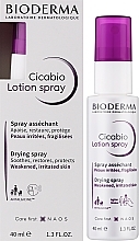 Restoring Lotion Spray - Bioderma Cicabio Lotion Spray  — photo N2