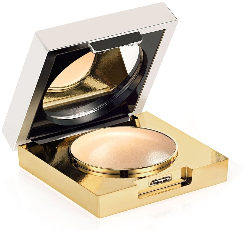 Compact Powder - Elizabeth Arden Flawless Finish Maximum Coverage Concealer — photo N1