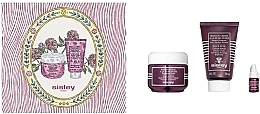 Fragrances, Perfumes, Cosmetics セット - Sisley Duo Rose Noire (f/cr/50ml + f/mask/60ml + f/oil/3ml)