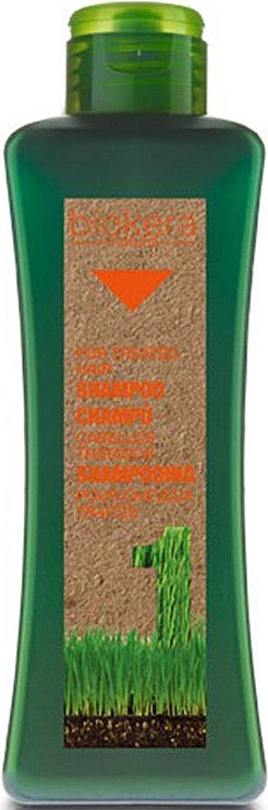 Colored Hair Shampoo - Salerm Biokera Natura Treated Hair Shampoo — photo N1