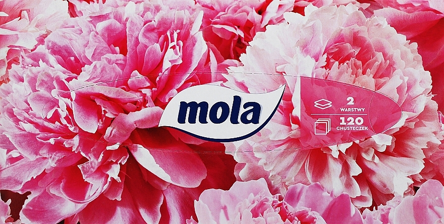 Double-Layer Tissues 120 pcs, peonies - Mola Tissue Big Box	 — photo N1