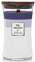 Scented Candle - WoodWick Trilogy Evening Luxe Candle — photo N1