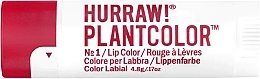 Fragrances, Perfumes, Cosmetics Lip Balm - Hurraw! Plantcolor Lip Balm