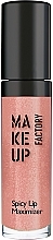 Fragrances, Perfumes, Cosmetics Volume Lip Gloss - Make Up Factory Spicy Lip Maximizer