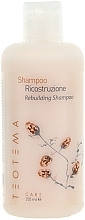 Fragrances, Perfumes, Cosmetics Repair Shampoo - Teotema Care Rebuilding Shampoo