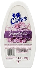 Lilac Flower Gel Air Freshener - Cirrus — photo N1