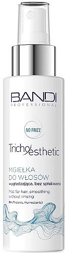 Smoothing Hairspray - Bandi Professional Tricho Esthetic Smoothing Hair Mist Without Rinsing — photo N1