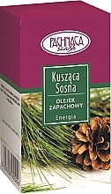 Fragrances, Perfumes, Cosmetics Essential Oil "Pine" - Pachnaca Szafa Oil