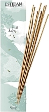 Esteban Pur Lin - Incense Sticks — photo N1
