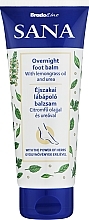 Fragrances, Perfumes, Cosmetics Lemongrass Oil and Urea Night Foot Balm - Bradoline Sana Overnight Foot Balm