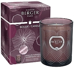 Fragrances, Perfumes, Cosmetics Maison Berger Underneath the Magnolias - Scented Candle