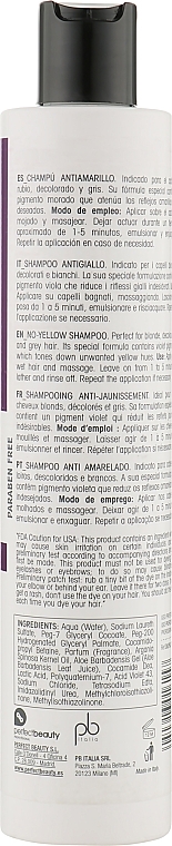 Anti-Yellow Shampoo with Argan & Aloe Vera Extract - Design Look No Yellow Shampoo Vegan Argan & Aloe Vera — photo N2