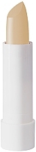 Fragrances, Perfumes, Cosmetics Lip Gloss - Mulac Cosmetics Plumping Lip Balm