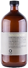 Moisturizing Hair Shampoo - Rolland Oway Moisturizing — photo N2